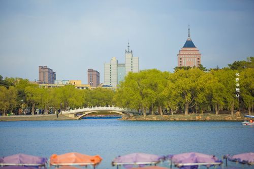 你把青春奉献给了北国春城！欢迎回家永远的13号姜宇星