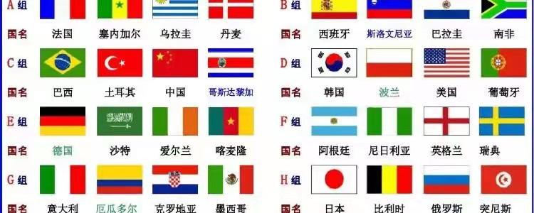 2002世界杯日本名单，2002年世界杯日本阵容？