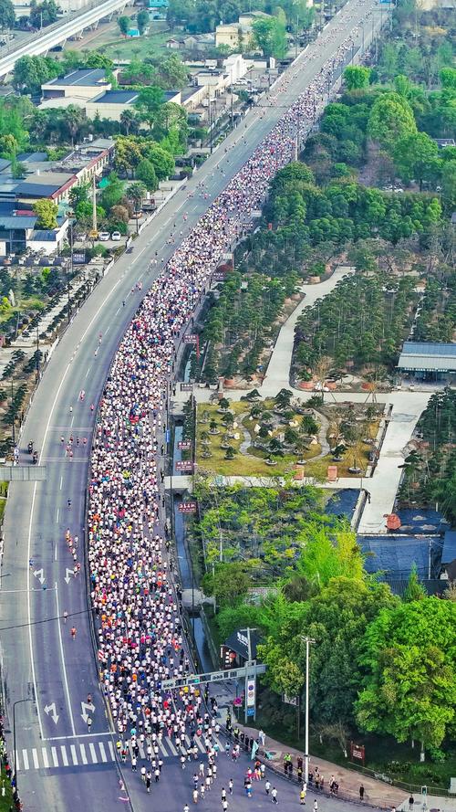 举办马拉松最多的城市，马拉松哪个城市最好